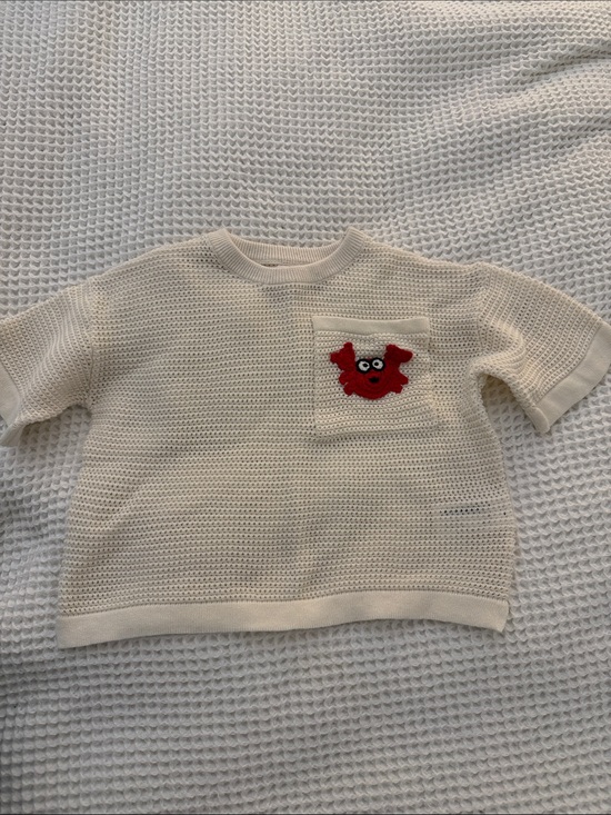 Zara Other - Zara Cream Short Sleeve Knit Top with Red Crab Patch